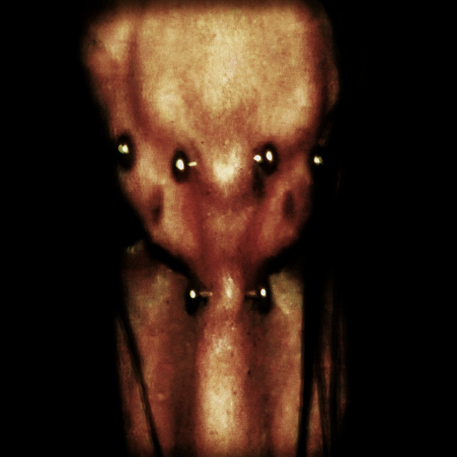 9mice, glaive — DEVO4KA · сведение и мастеринг Podlesny Twins